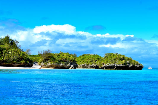 【環境】SDGs目標が掲げられてから2024年までにファッション業界に起きた変化~海外編~