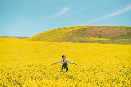 【春ファッション】"春ファッションを楽しむ!トレンチからフローラルまで、春の定番アイテム紹介